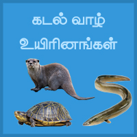 பாடங்கள்