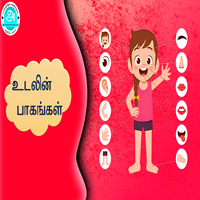 பாடங்கள்