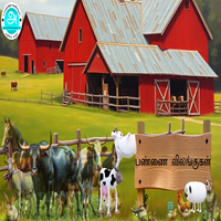 பாடங்கள்