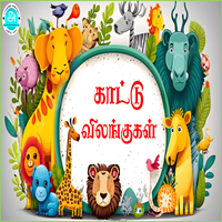 பாடங்கள்