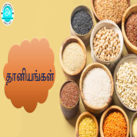 பாடங்கள்