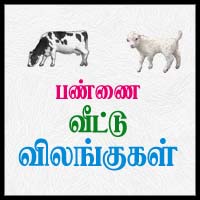 பாடங்கள்