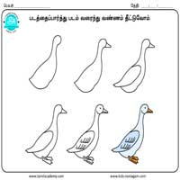 பாடங்கள்