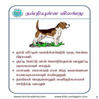 பாடங்கள்