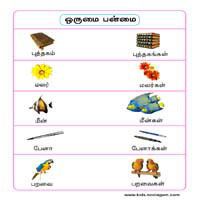 பாடங்கள்