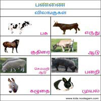 பாடங்கள்