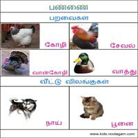 பாடங்கள்