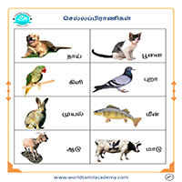 பாடங்கள்