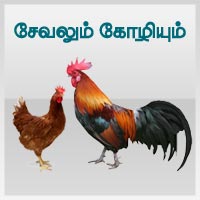 பாடங்கள்