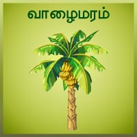 பாடங்கள்
