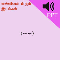 பாடங்கள்