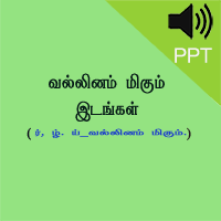 பாடங்கள்