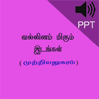 பாடங்கள்