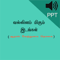 பாடங்கள்