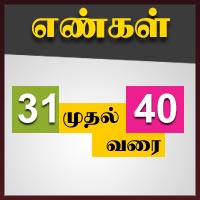 பாடங்கள்