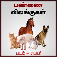 பாடங்கள்