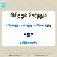 பாடங்கள்