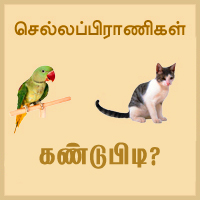 பாடங்கள்