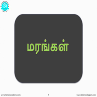 பாடங்கள்