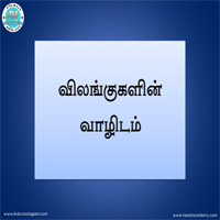 பாடங்கள்