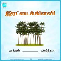 பாடங்கள்