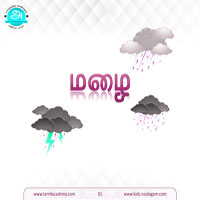 பாடங்கள்
