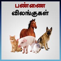 பாடங்கள்