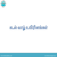 பாடங்கள்