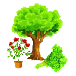 தாவரங்கள்